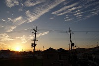 コウノトリ情報(2羽か!?) 2016/10/14 19:02:35