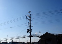 青空とコウノトリ 2016/11/04 14:54:07