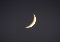 コウノトリ・J0057の塒入 2016/11/04 18:27:55