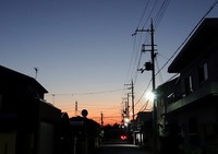 コウノトリ・J0057の夜明け 2016/11/05 14:32:54