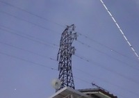コウノトリの日曜日 2016/11/06 09:33:45