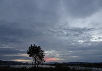 ・・・冬のはじめ哉 2016/11/10 10:10:03
