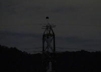 コウノトリ・J0057情報 2016/10/10 18:55:30