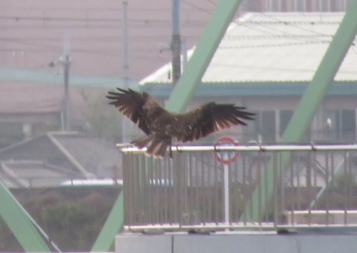 馬に寐て残夢月遠し・・・ 馬に寐て残夢月遠し・・・