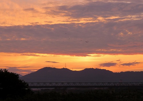 紀ノ川の夜明け 紀ノ川の夜明け