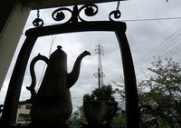 づぶ濡れて・・・ 2016/09/20 09:53:02