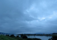 ・・・曼珠沙華 2016/09/23 09:41:32