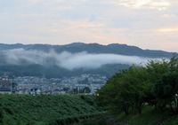 ・・・すゝきさむらさき 2016/10/04 09:08:37