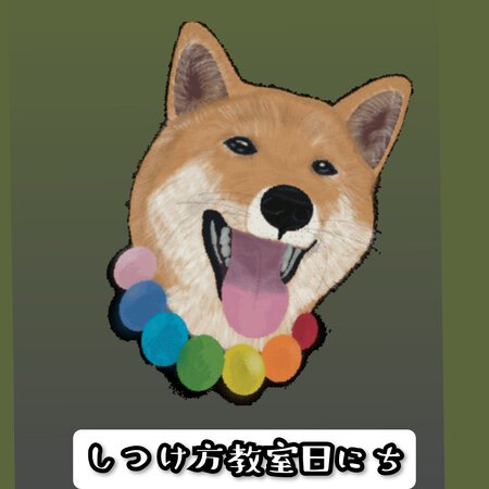 しつけ方教室日にち しつけ方教室日にち