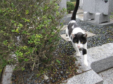 楽しみなこと♪