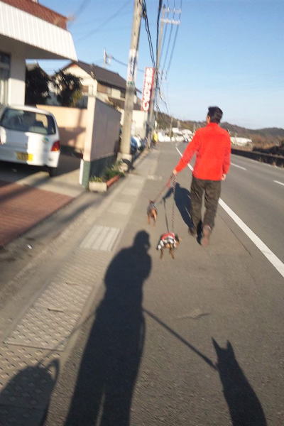 今年も♪