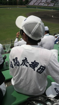 向陽VS智辯