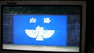 向陽VS智辯