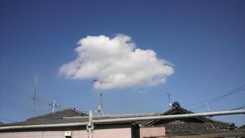 神様に感謝(*^_^*)