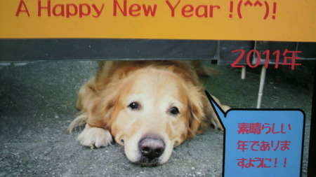 今年もよろしくお願いします。