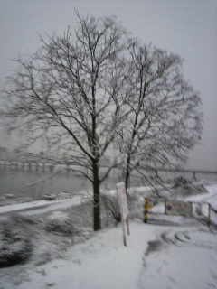 ゆ、雪国や〜(汗)