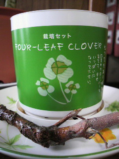 春よ、来い。