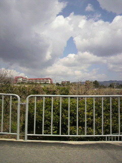 すべてのこと