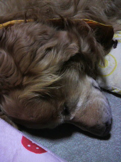 明?暗?