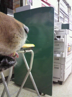 心霊写真じゃないよ(笑)