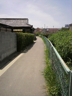 甲子園、狙っちゃう?