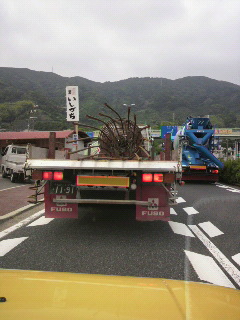 目がヘンになる〜