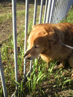 どんちゃん写真集