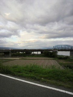 どれが私の生きる道?