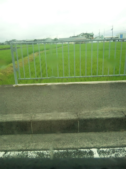 のどかやなぁ。
