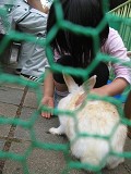 5月5日子どもの日、動物園ではこんな楽しいイベントが♪
