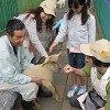 5月5日子どもの日、動物園ではこんな楽しいイベントが♪